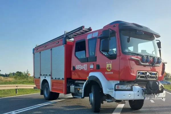 OSP Ożarów usuwa gniazdo owadów w Glinianach