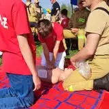 OSP Sadowie interweniowała w Biskupicach – usunięto gniazdo owadów błonkoskrzydłych