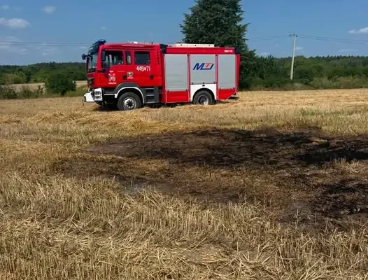 Pożar ścierniska w Tarłowie – strażacy walczyli z ogniem