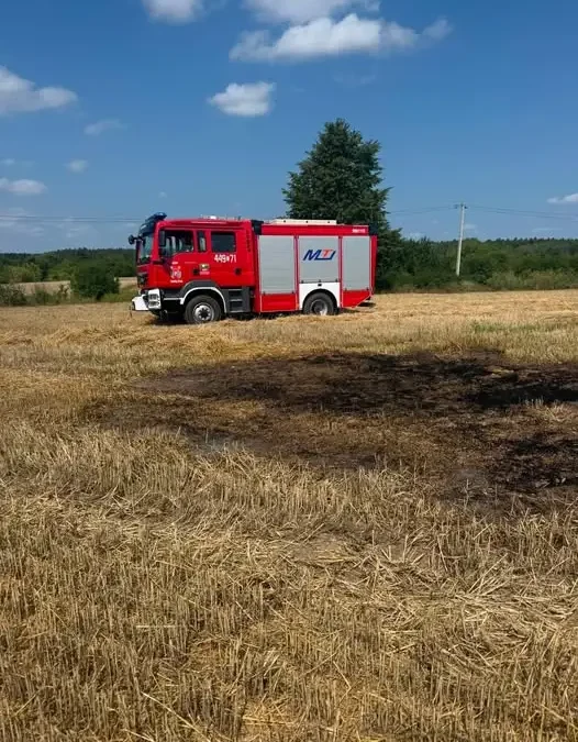 Pożar ścierniska w Tarłowie – strażacy walczyli z ogniem