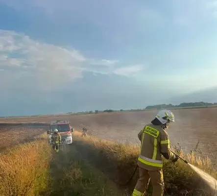 Pożar traw przy torach w Jasicach – strażacy z OSP Wojciechowice i Stodoły w akcji