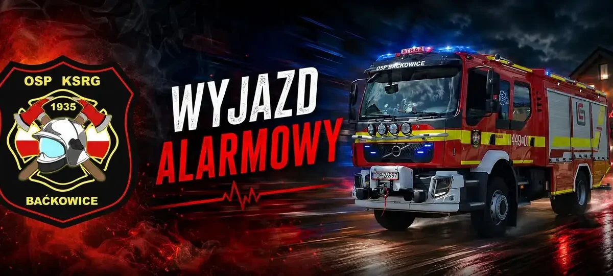 Interwencja OSP w Wszachowie: usunięcie gniazda owadów błonkoskrzydłych