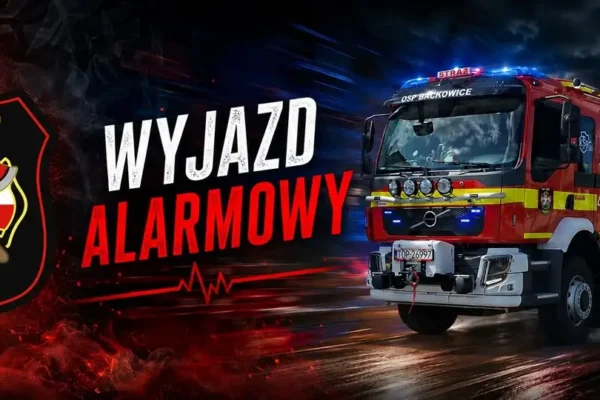 Interwencja OSP w Wszachowie: usunięcie gniazda owadów błonkoskrzydłych