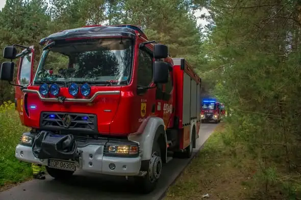 Interwencja w Wyszmontowie: usuwanie drzew zagrażających bezpieczeństwu