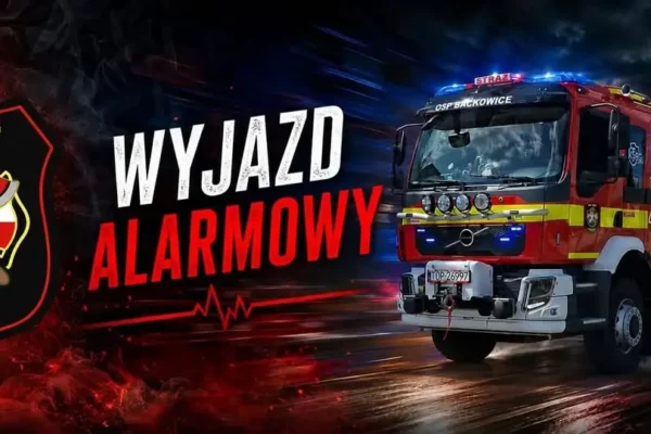 Pożar przystanku autobusowego w Olszownicy. Interweniowały dwa zastępy straży