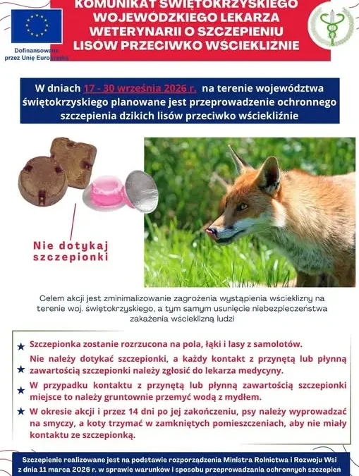 Szczepienie lisów przeciw wściekliźnie w Świętokrzyskiem – akcja zaplanowana na 17-30 września