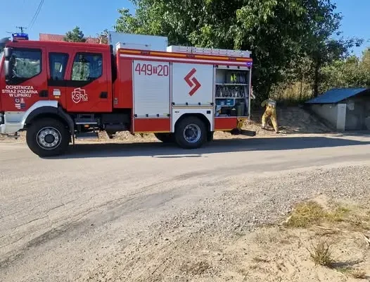Usarzów: strażacy z OSP Lipnik usuwali gniazdo owadów błonkoskrzydłych