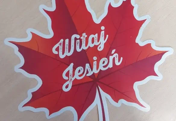 Jesienne spotkanie w bibliotece: klasa „0” z Włostowa tworzyła jeżyki