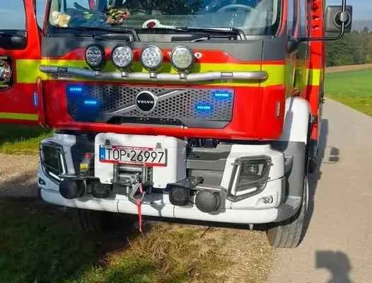 Interwencja strażaków w Żernikach: usunięcie gniazda owadów błonkoskrzydłych